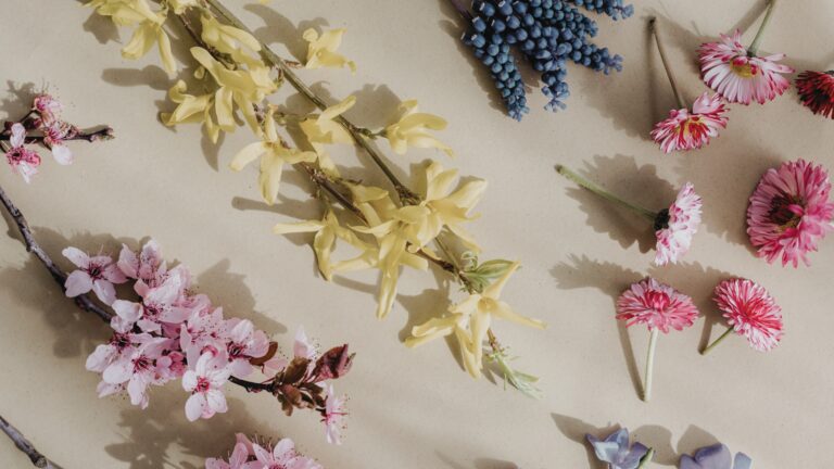 TOP składniki na wiosnę – co powinno znaleźć się w Twojej kosmetyczce?