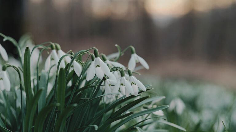 Wiosenna zmiana pielęgnacji – czego potrzebuje skóra, gdy robi się cieplej?